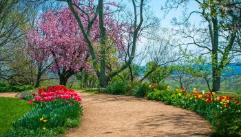 Fresh Air, Close to Home